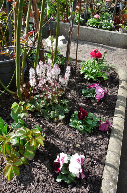  - 2024 - 01 - Primavara