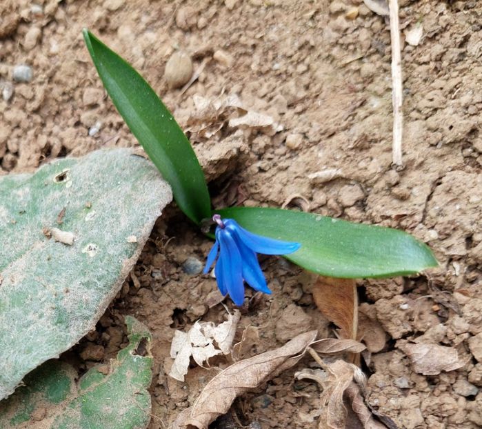  - 2024 - Grădinița de la bloc