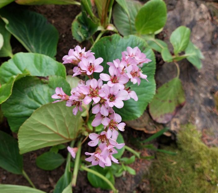  - 2024 - Grădinița de la bloc