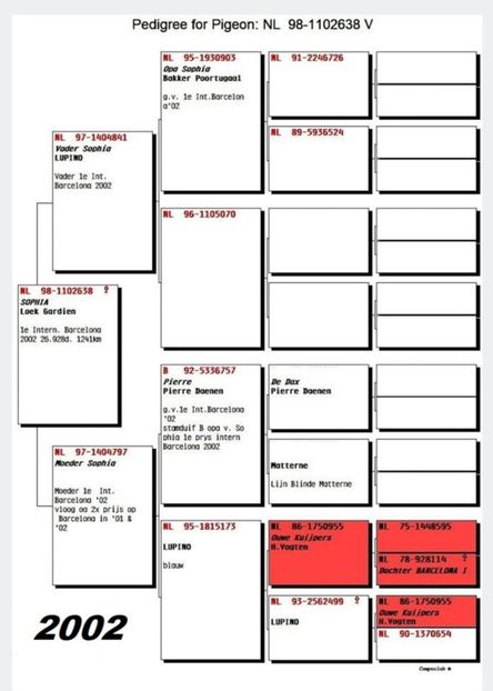 1 int Barcelona 2002 - Barcelona internațional
