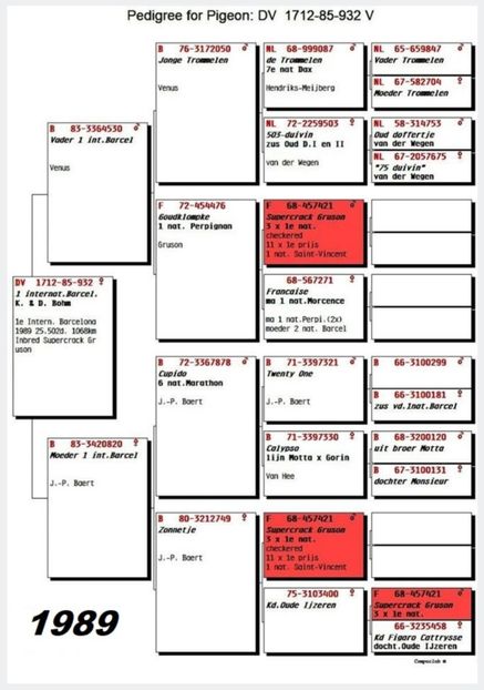 1 int Barcelona 1989 - Barcelona internațional