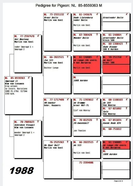 1 int Barcelona 1988 - Barcelona internațional