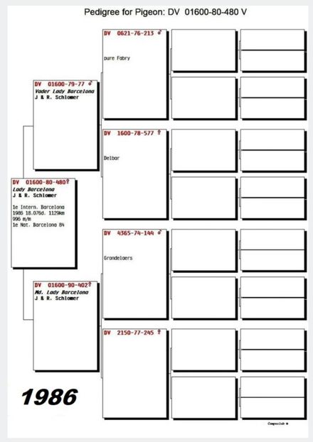 1 int Barcelona 1986 - Barcelona internațional