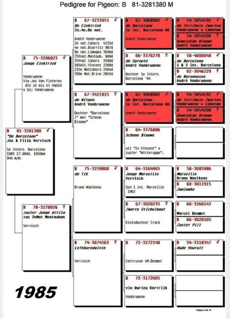 1 int Barcelona 1985 - Barcelona internațional