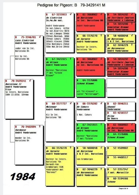 1 int Barcelona 1984 - Barcelona internațional