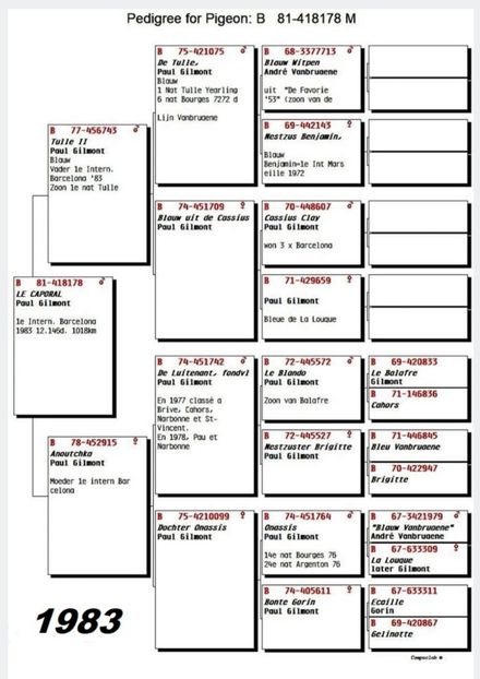 1 int Barcelona 1983 - Barcelona internațional