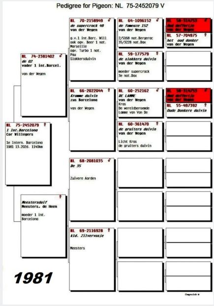 1 int Barcelona 1981 - Barcelona internațional