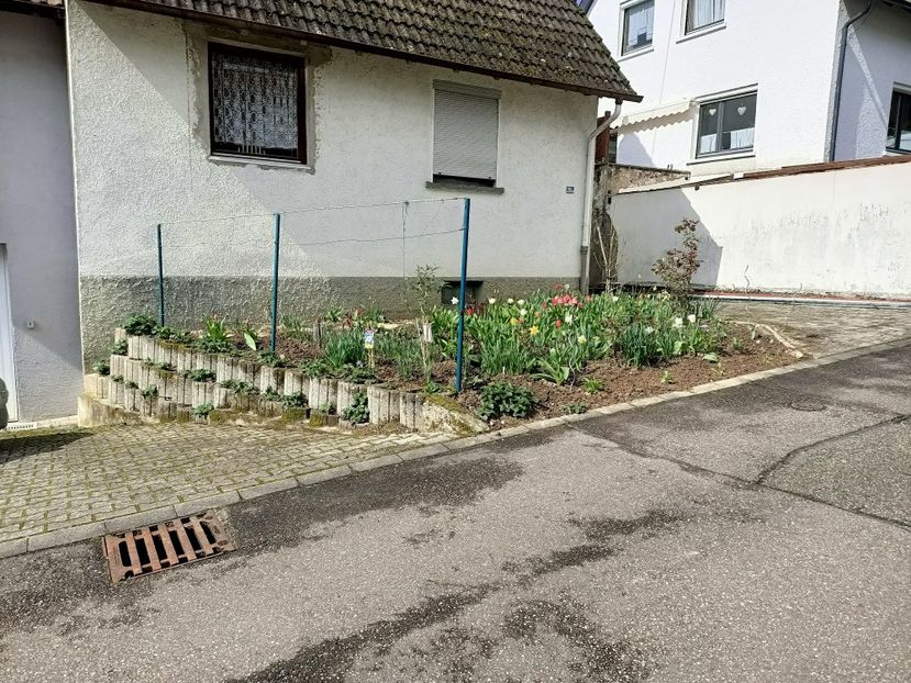Img.2024.03.23 - A doua grădină