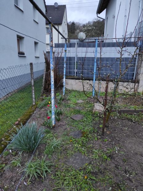Img-2024.03.24 - A doua grădină