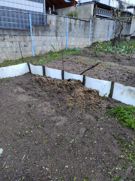Img-2024.03.24 - A doua grădină