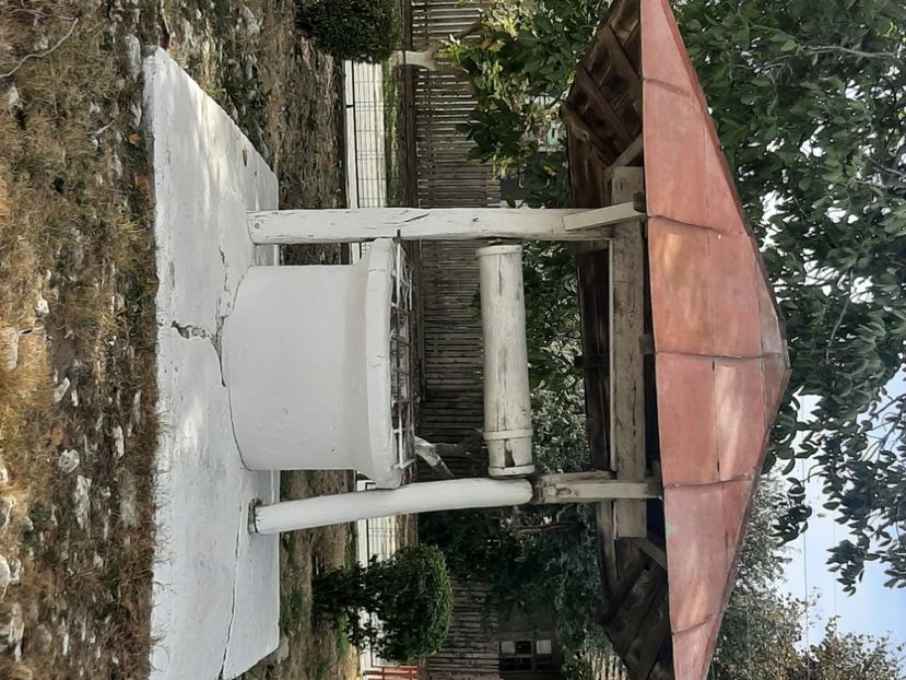  - La Oltina și Baneasa oct 2023
