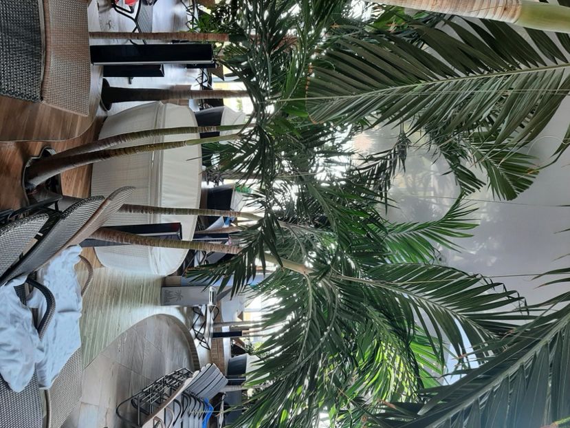  - Therme februarie 2024