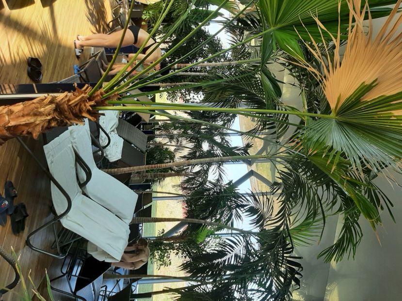  - Therme februarie 2024
