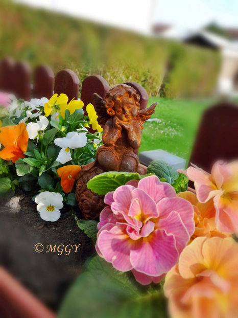 © - 2024 - 01 - Primavara