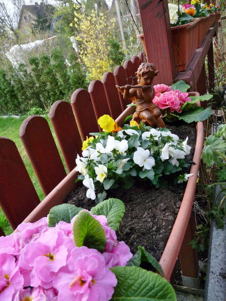 © - 2024 - 01 - Primavara