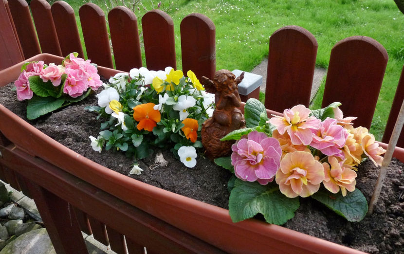 © - 2024 - 01 - Primavara