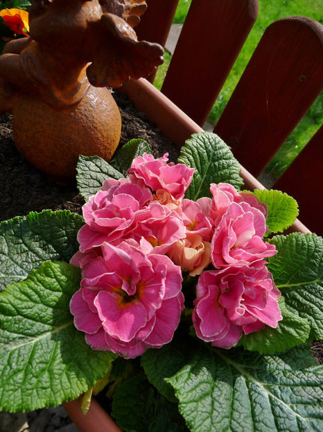 © - 2024 - 01 - Primavara