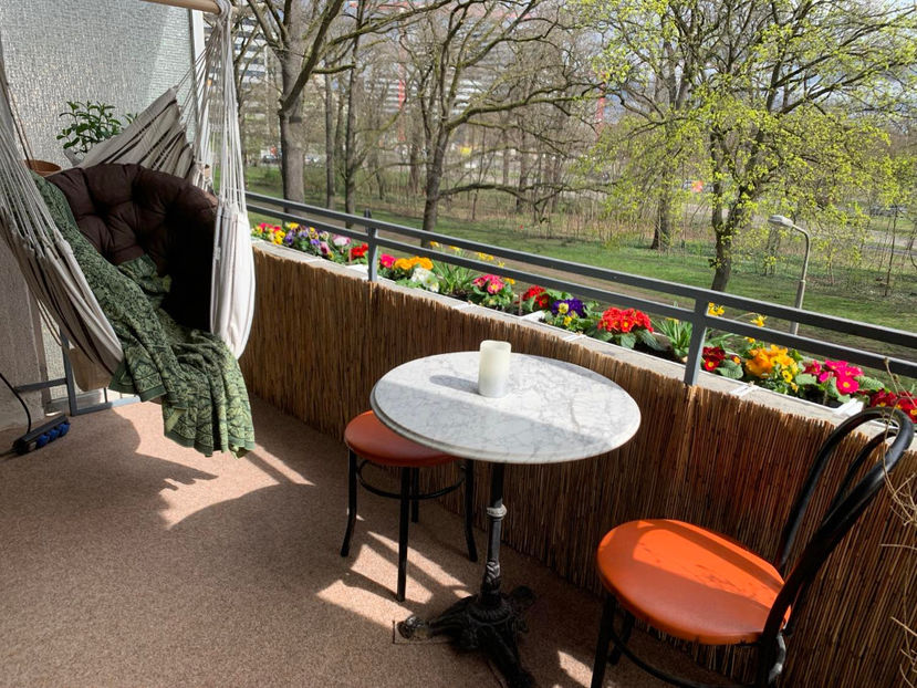  - 2024 - 01 - Primavara