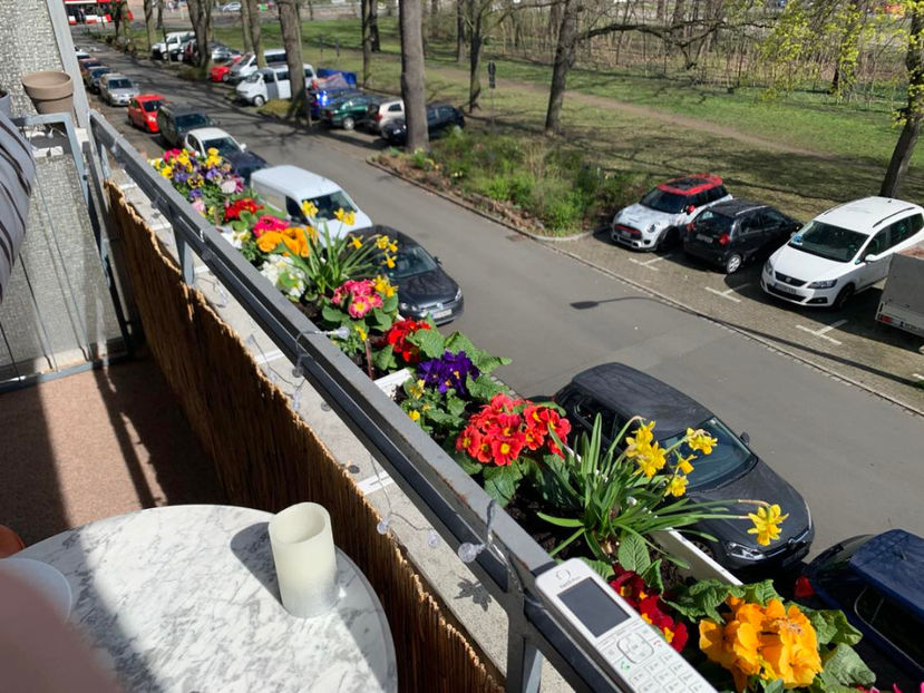  - 2024 - 01 - Primavara