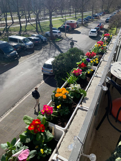  - 2024 - 01 - Primavara