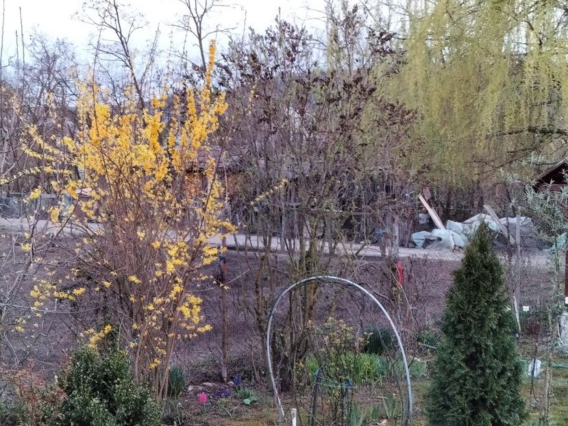 IMG20240326184605 - Primăvară 2024