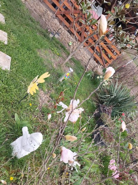 IMG20240325112319 - Primăvară 2024