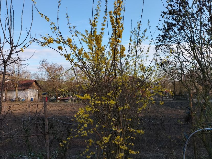 IMG20240322173009 - Primăvară 2024