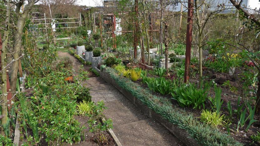  - 2024 - 01 - Primavara