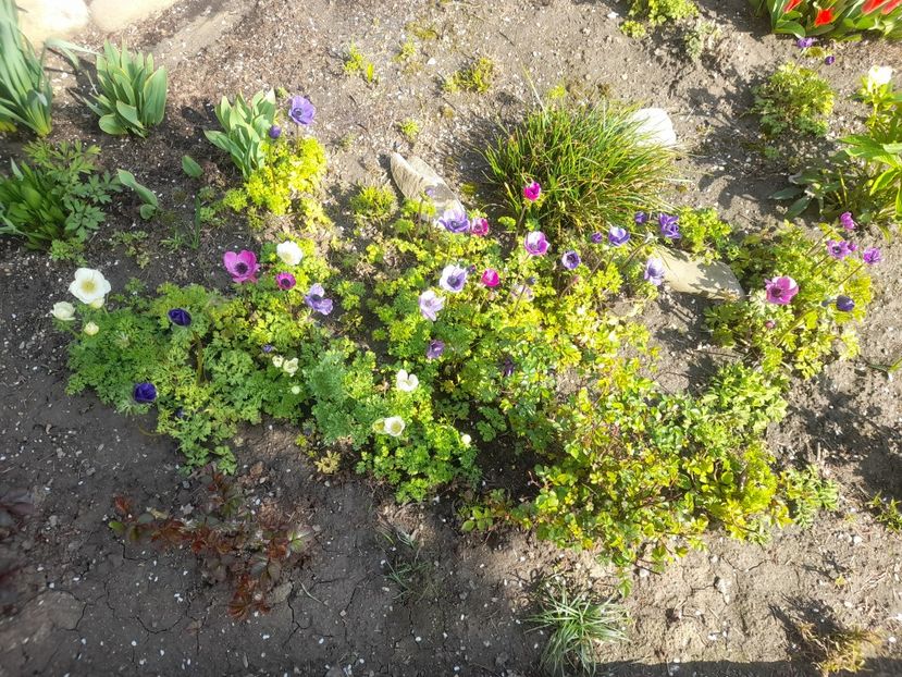  - 1 2024 Din nou cu natura impreuna !