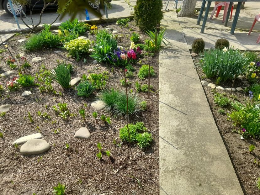  - 1 2024 Din nou cu natura impreuna !