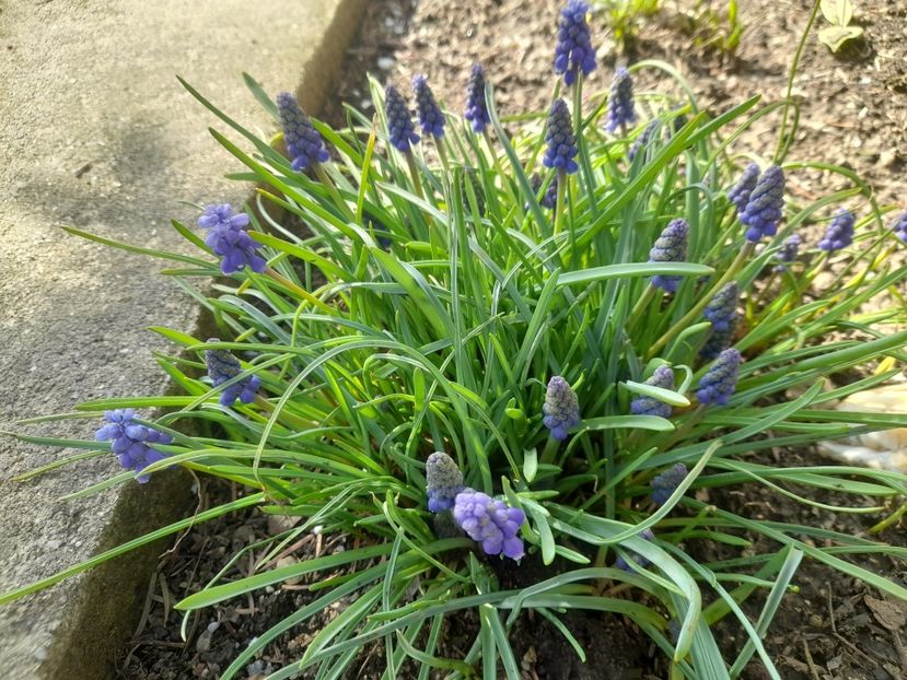  - 1 2024 Din nou cu natura impreuna !