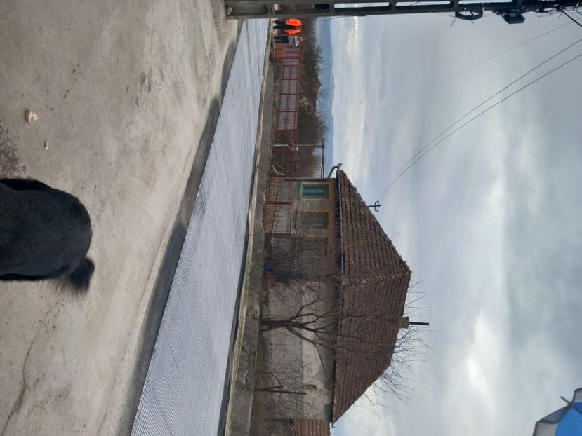  - Strada mea