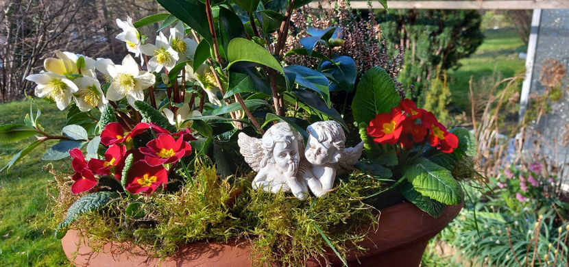  - 2024 - 01 - Primavara