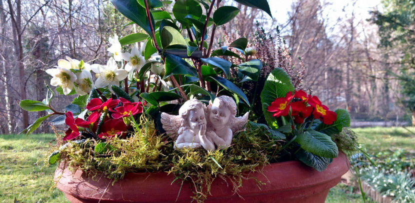  - 2024 - 01 - Primavara