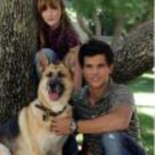 Taylor-Lautner-1242546962