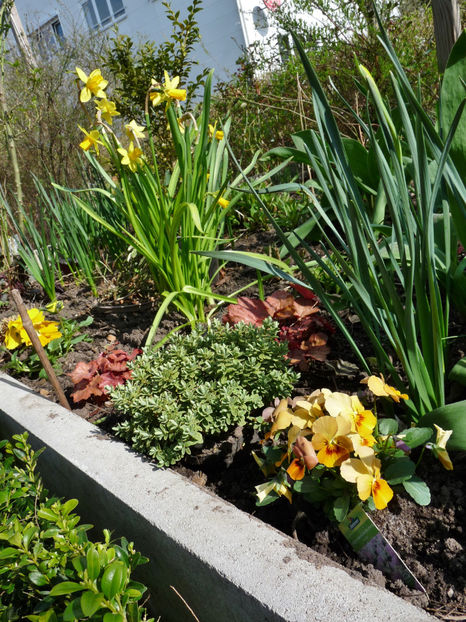  - 2024 - 01 - Primavara