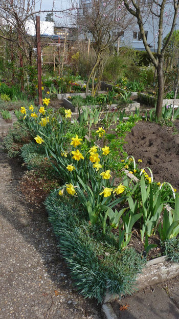  - 2024 - 01 - Primavara