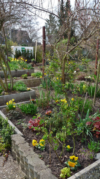  - 2024 - 01 - Primavara