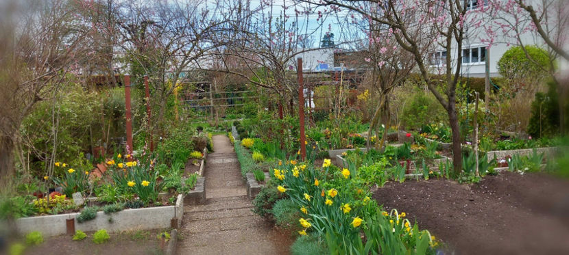  - 2024 - 01 - Primavara