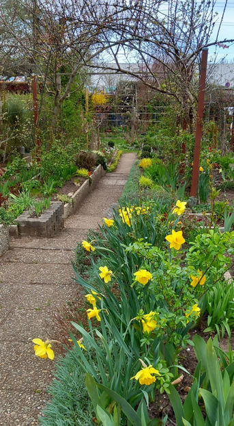  - 2024 - 01 - Primavara