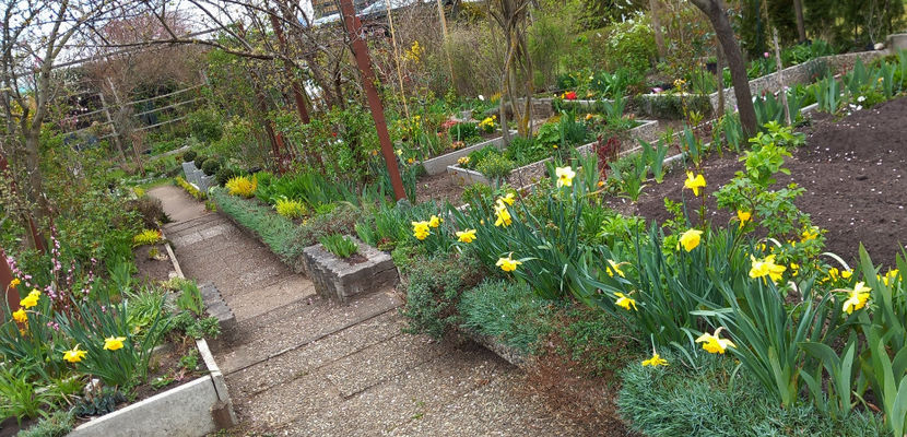  - 2024 - 01 - Primavara