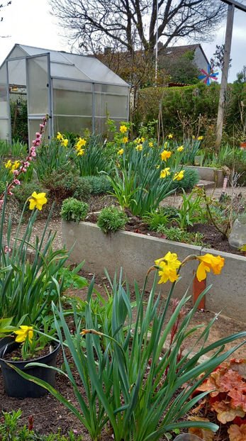  - 2024 - 01 - Primavara