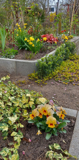  - 2024 - 01 - Primavara