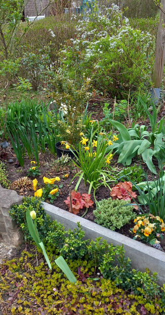  - 2024 - 01 - Primavara