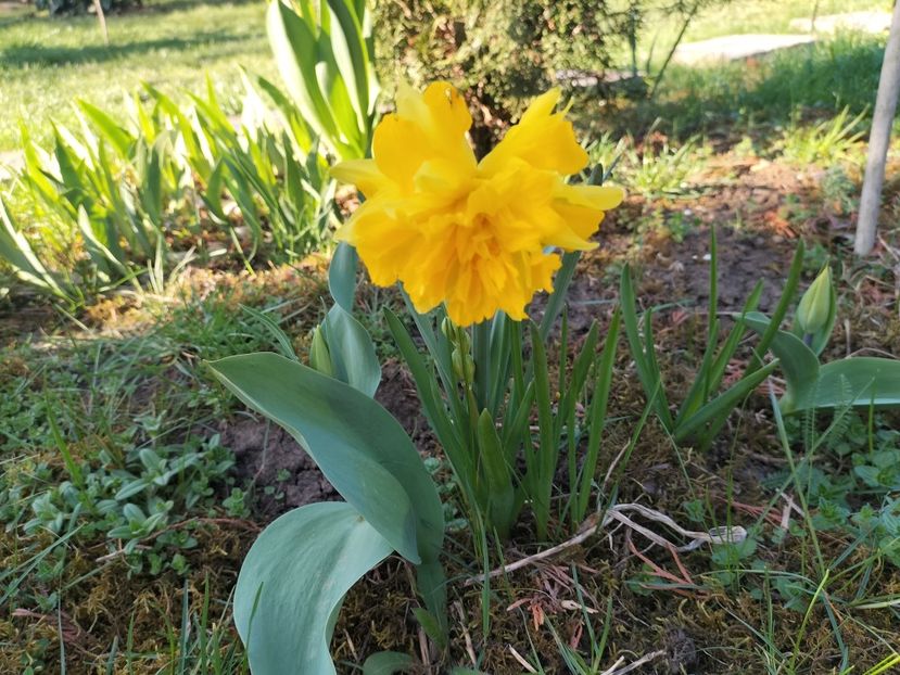 IMG20240329165330 - Primăvară 2024