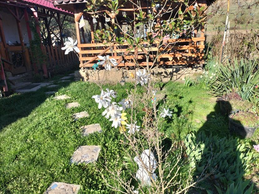 IMG20240329165144 - Primăvară 2024