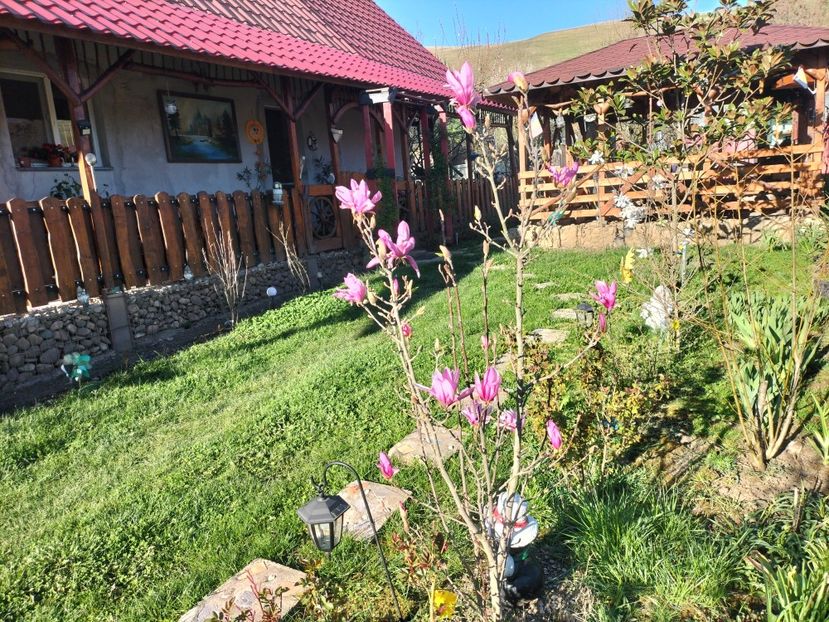 IMG20240329165122 - Primăvară 2024