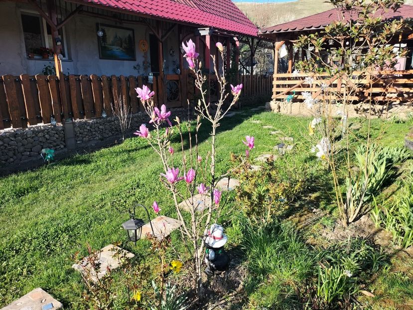 IMG20240329165032 - Primăvară 2024