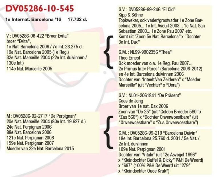1 int Barcelona 2016 - Barcelona internațional