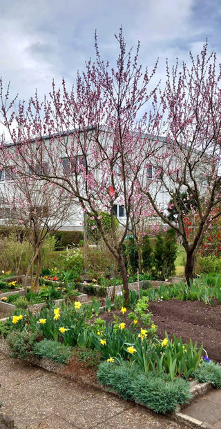  - 2024 - 01 - Primavara